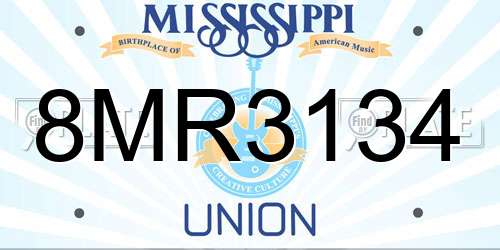 8MR3134 Mississippi License Plate