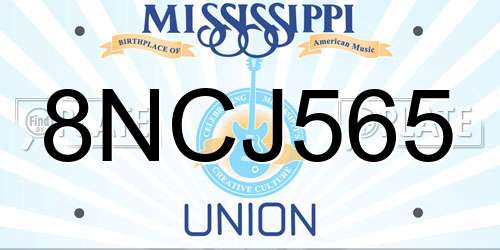 8NCJ565 Mississippi License Plate