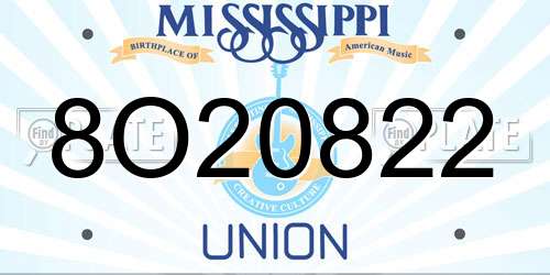 8O20822 Mississippi License Plate