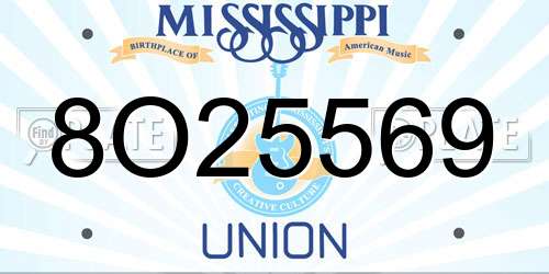 8O25569 Mississippi License Plate