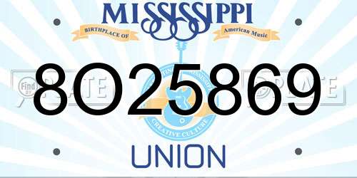 8O25869 Mississippi License Plate