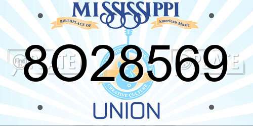 8O28569 Mississippi License Plate