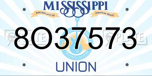 8O37573 Mississippi License Plate