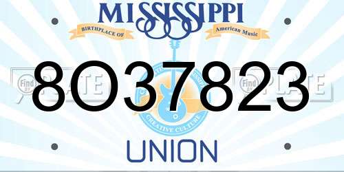8O37823 Mississippi License Plate