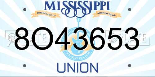 8O43653 Mississippi License Plate