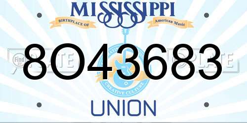 8O43683 Mississippi License Plate
