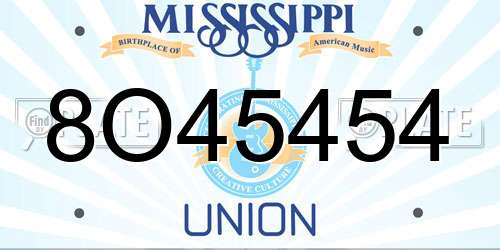 8O45454 Mississippi License Plate