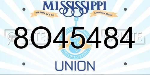 8O45484 Mississippi License Plate