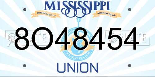 8O48454 Mississippi License Plate