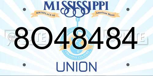 8O48484 Mississippi License Plate