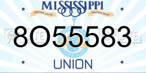 8O55583 Mississippi License Plate