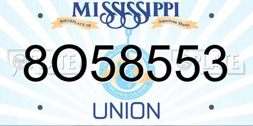 8O58553 Mississippi License Plate