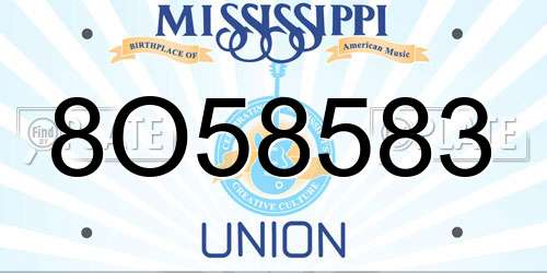 8O58583 Mississippi License Plate