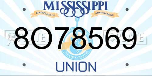 8O78569 Mississippi License Plate