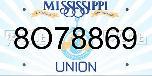 8O78869 Mississippi License Plate