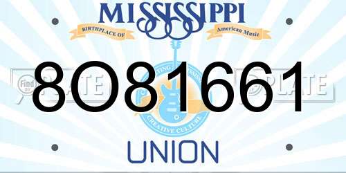 8O81661 Mississippi License Plate