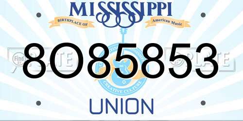 8O85853 Mississippi License Plate