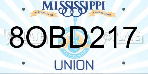 8OBD217 Mississippi License Plate