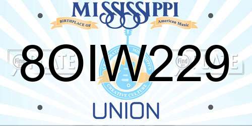 8OIW229 Mississippi License Plate