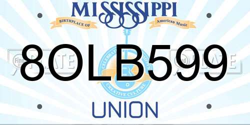 8OLB599 Mississippi License Plate