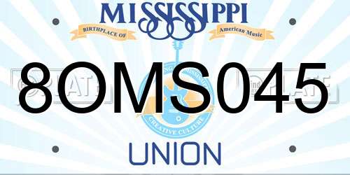 8OMS045 Mississippi License Plate
