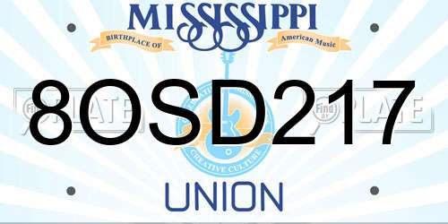 8OSD217 Mississippi License Plate
