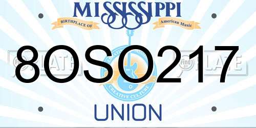8OSO217 Mississippi License Plate