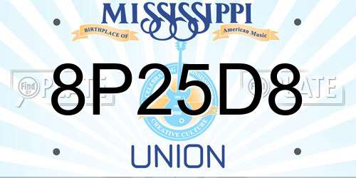 8P25D8 Mississippi License Plate