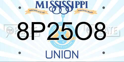 8P25O8 Mississippi License Plate
