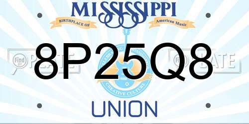 8P25Q8 Mississippi License Plate