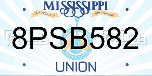 8PSB582 Mississippi License Plate