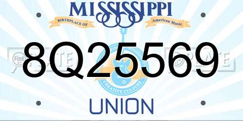 8Q25569 Mississippi License Plate