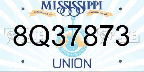 8Q37873 Mississippi License Plate