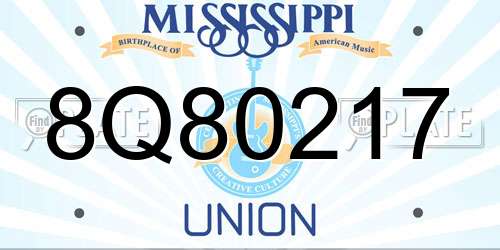 8Q80217 Mississippi License Plate