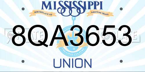 8QA3653 Mississippi License Plate