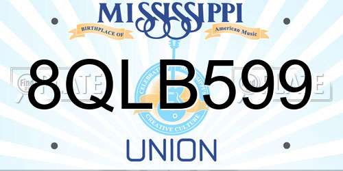 8QLB599 Mississippi License Plate