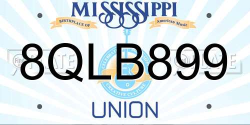 8QLB899 Mississippi License Plate