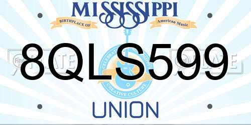 8QLS599 Mississippi License Plate