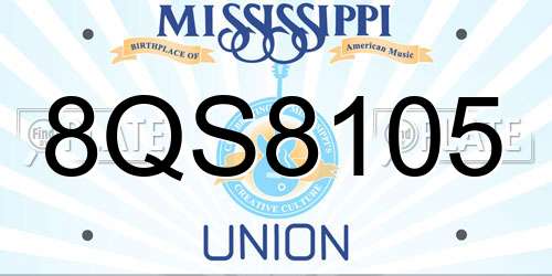 8QS8105 Mississippi License Plate