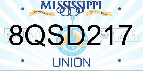 8QSD217 Mississippi License Plate