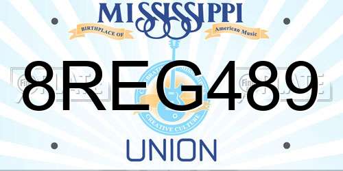 8REG489 Mississippi License Plate
