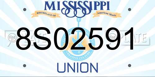 8S02591 Mississippi License Plate