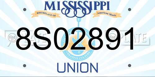 8S02891 Mississippi License Plate