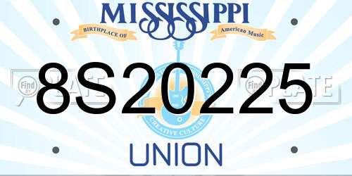 8S20225 Mississippi License Plate