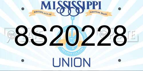 8S20228 Mississippi License Plate