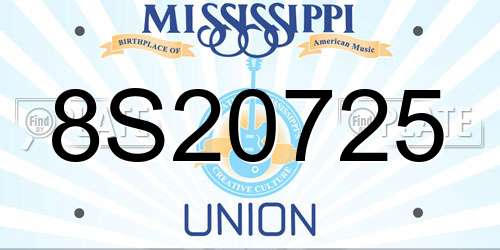 8S20725 Mississippi License Plate