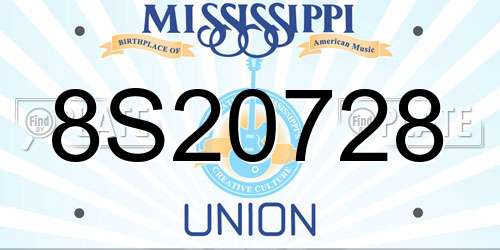 8S20728 Mississippi License Plate