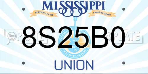 8S25B0 Mississippi License Plate