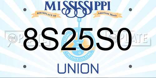 8S25S0 Mississippi License Plate