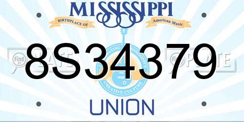 8S34379 Mississippi License Plate